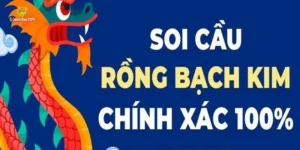 soi-cau-247-rong-bach-kim-1