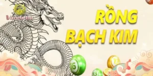 Tổng quan về soi cầu bạch kim tại Vando88 