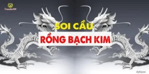 soi-cau-rong-bach-kim-thumb